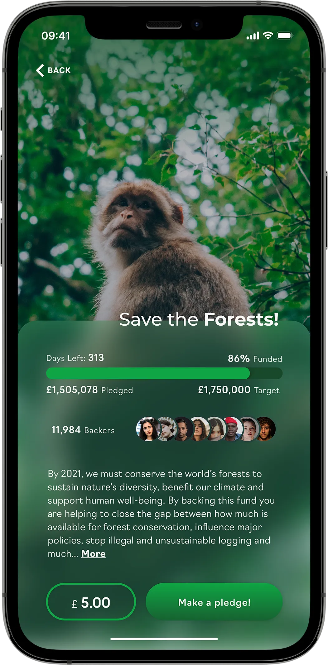 A mobile mock-up showing a blurred informational "Save the Forests!" crowdfund card above an image of a monkey in a forest.